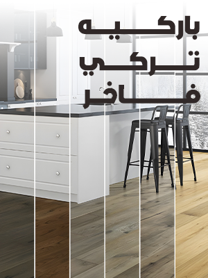 باركيه تركي