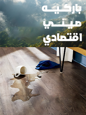 باركيه صيني